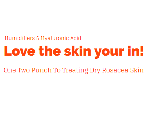 Humidifier With Hyaluronic Acid Moisturizing Treatment For Dry Rosacea Skin