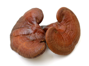Reishi Mushrooms