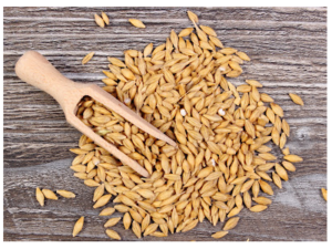 Barley, superfood