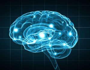 Image of brain in blue